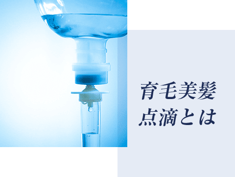 育毛美髪点滴とは
