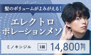 エレクトロポレーションメソ