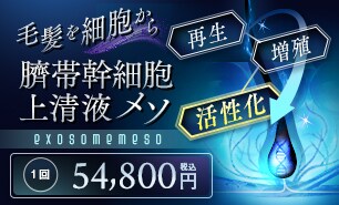 エレクトロポレーションメソ