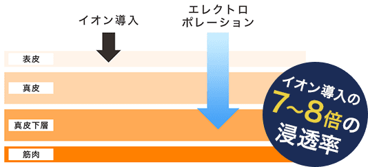 イオン導入のz7〜8倍の浸透率