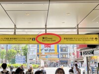 道案内画像05
