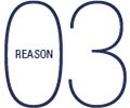 reason03