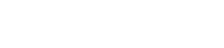 ちょこっと植毛