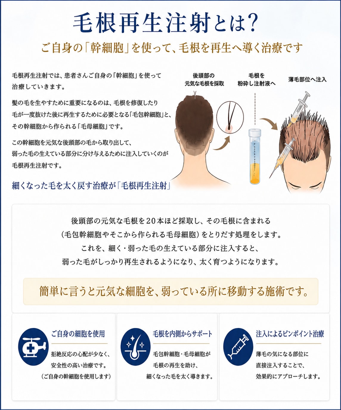 毛根再生注射とは?ご自身の幹細胞を使って、毛根を再生へ導く治療です。