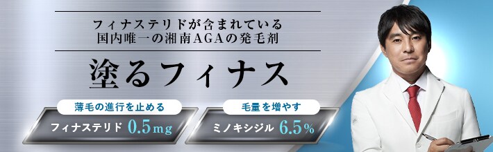 塗るフィナス リンクバナー