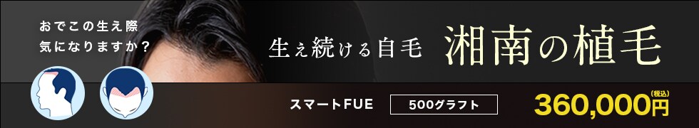 スマートFUE 500グラフト