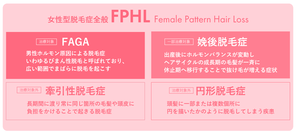 女性の薄毛は大きく4つに分類される