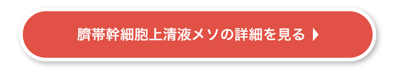 画像の説明を記載