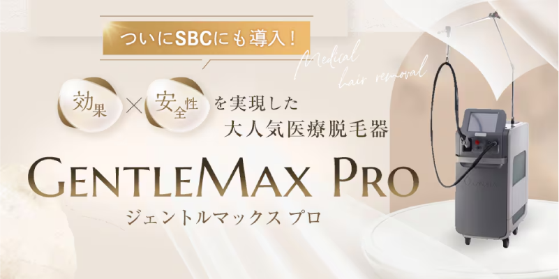 熱破壊式の王道「ジェントルマックスプロ」