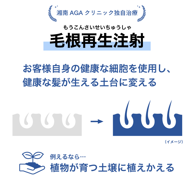 毛根再生注射は「元気な土壌」をつくるイメージ