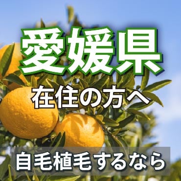【愛媛にお住まいの方へ】自毛植毛・薄毛治療なら「湘南AGAクリニック広島院」へ