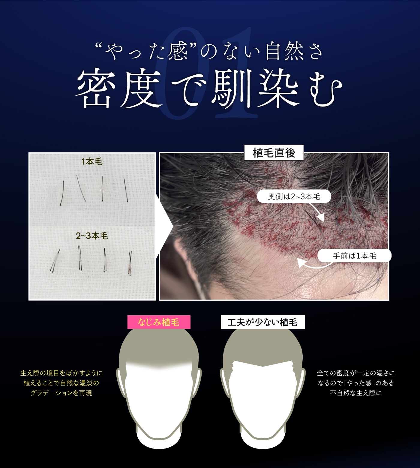 密度で馴染む