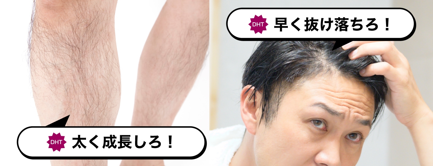 DHTの働き