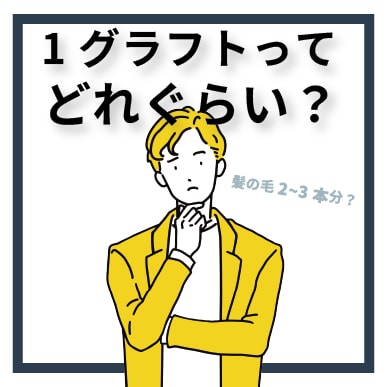 植毛で必ず聞く「グラフト」ってどれぐらい？