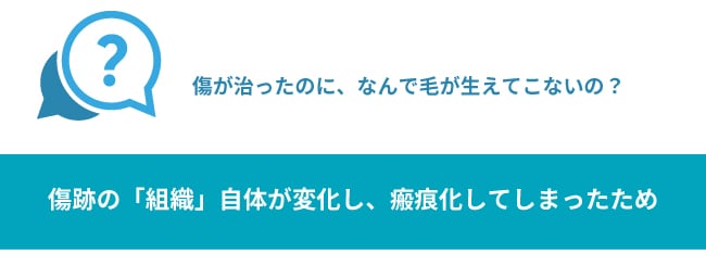 瘢痕(はんこん)のメカニズム