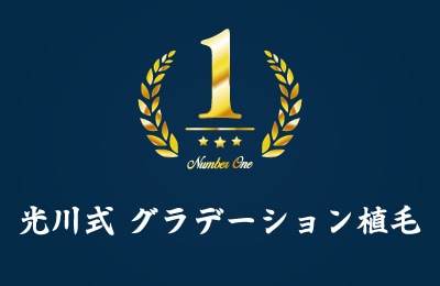 光川式 グラデーション植毛