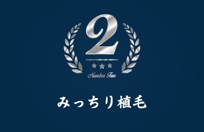 みっちり植毛