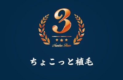ちょこっと植毛
