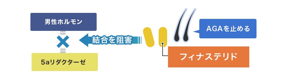 フィナステリドの効能